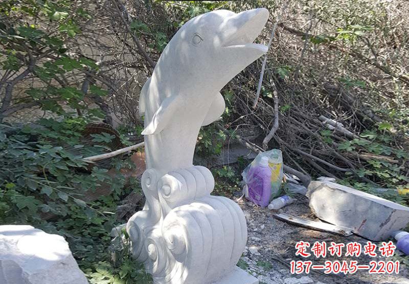 贵州海豚雕塑：悠闲无比的精灵