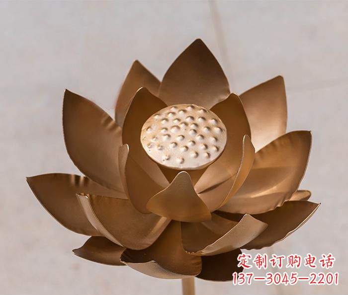 贵州铜雕景观荷花