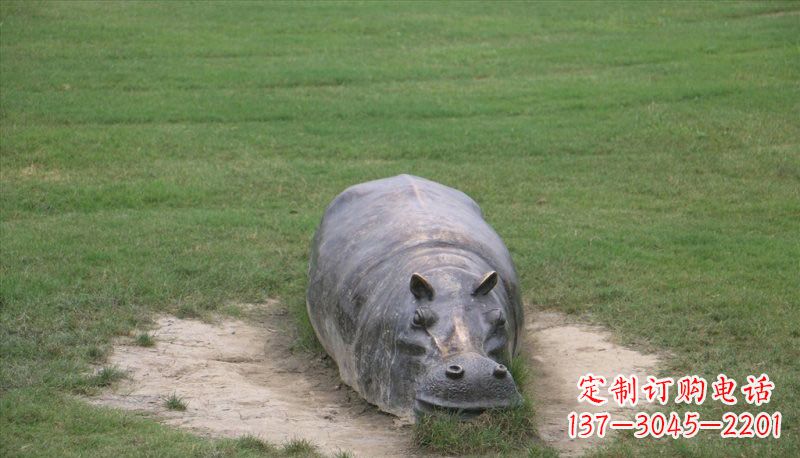 贵州铜雕趴着的河马