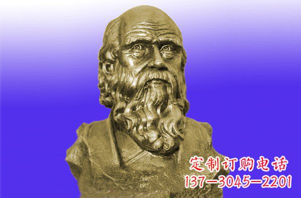 贵州托尔斯泰头像铜雕