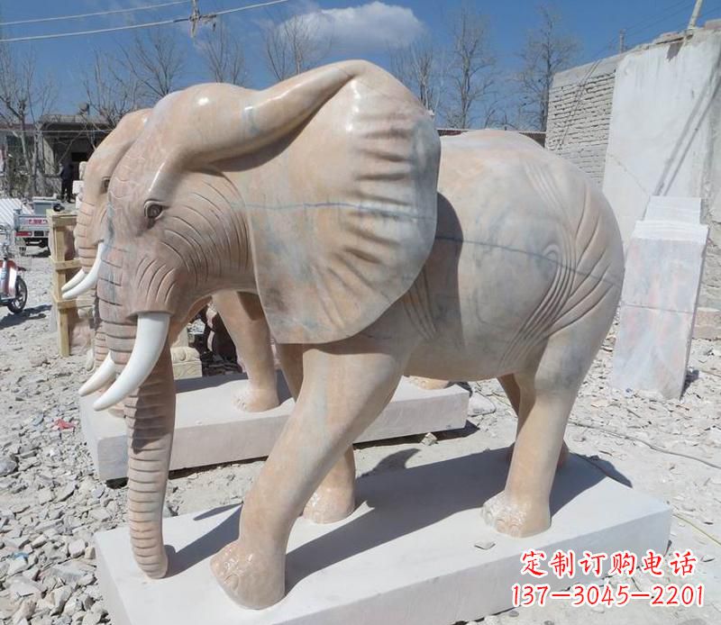 贵州晚霞红卷鼻大象