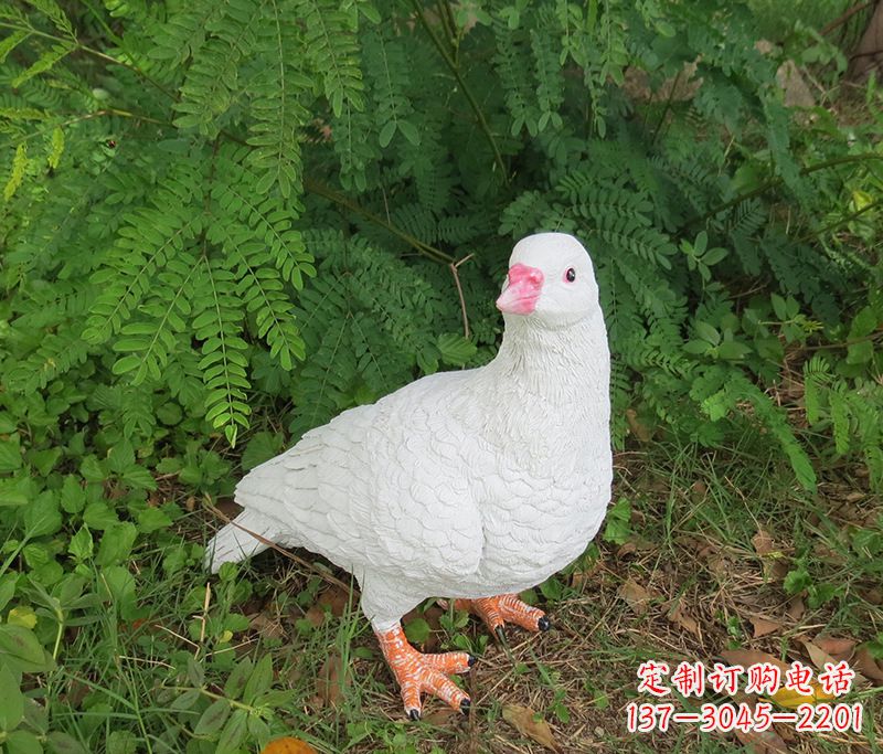 贵州潍坊青年路和平鸽灰姑娘雕塑