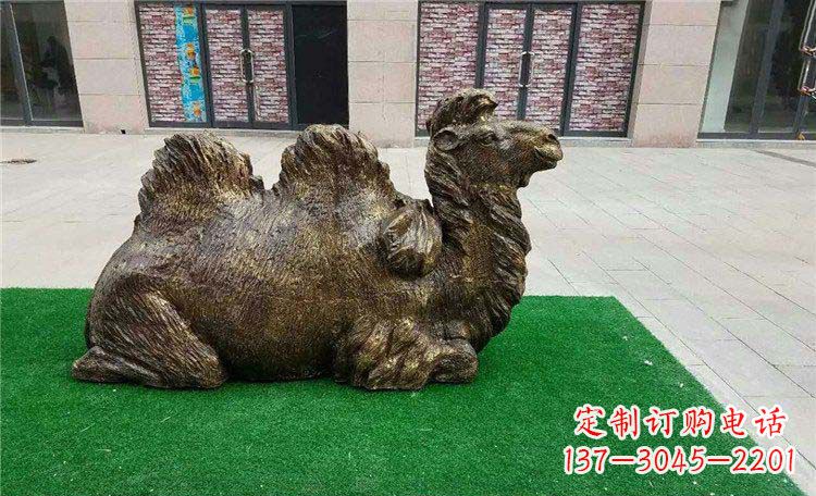 贵州卧着的骆驼动物铜雕
