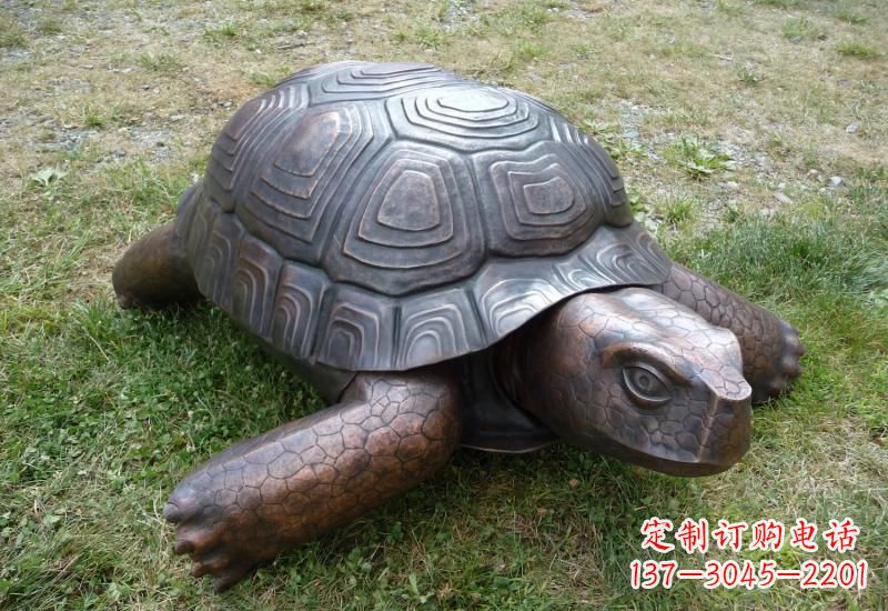 贵州乌龟铜雕222