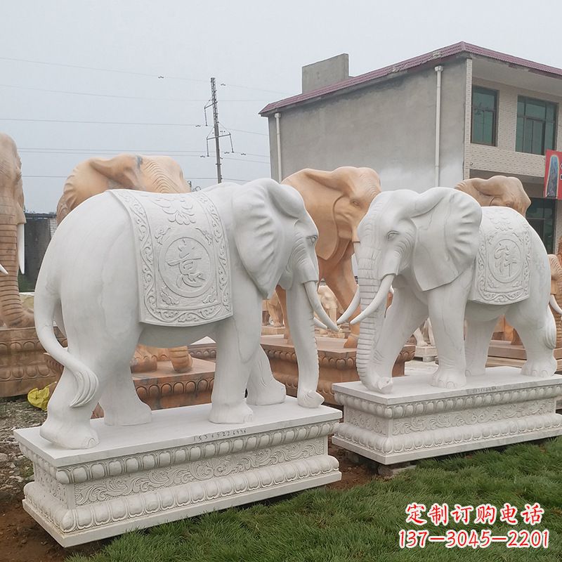 贵州学校石雕大象