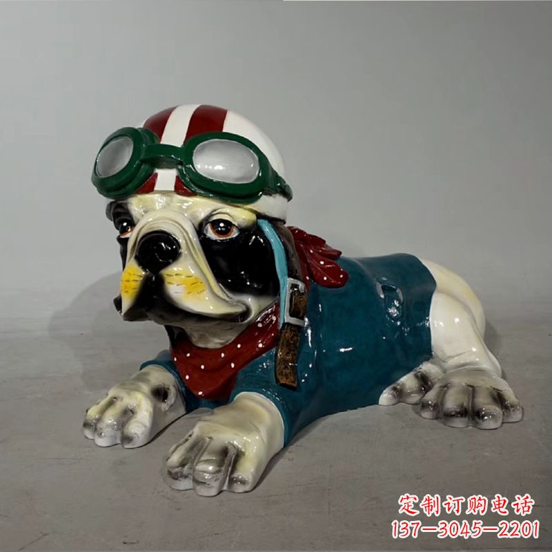 贵州宇航员斗牛犬